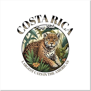 Apex Predator: Majestic Jaguar of Costa Rica Posters and Art